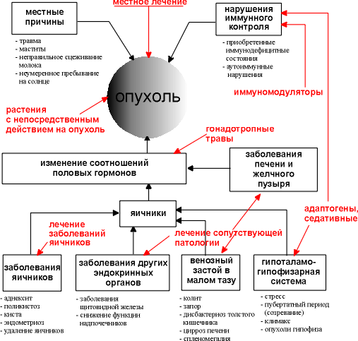 Мастопатия Щитовидная Железа Лечение